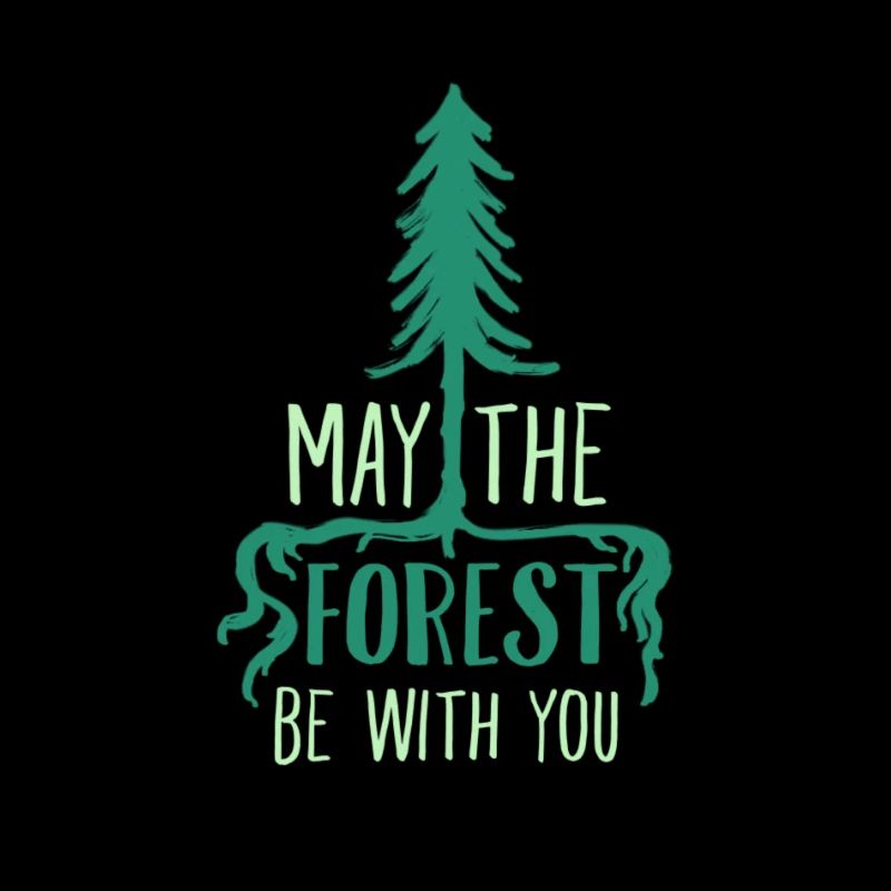 May the Forest be with you
