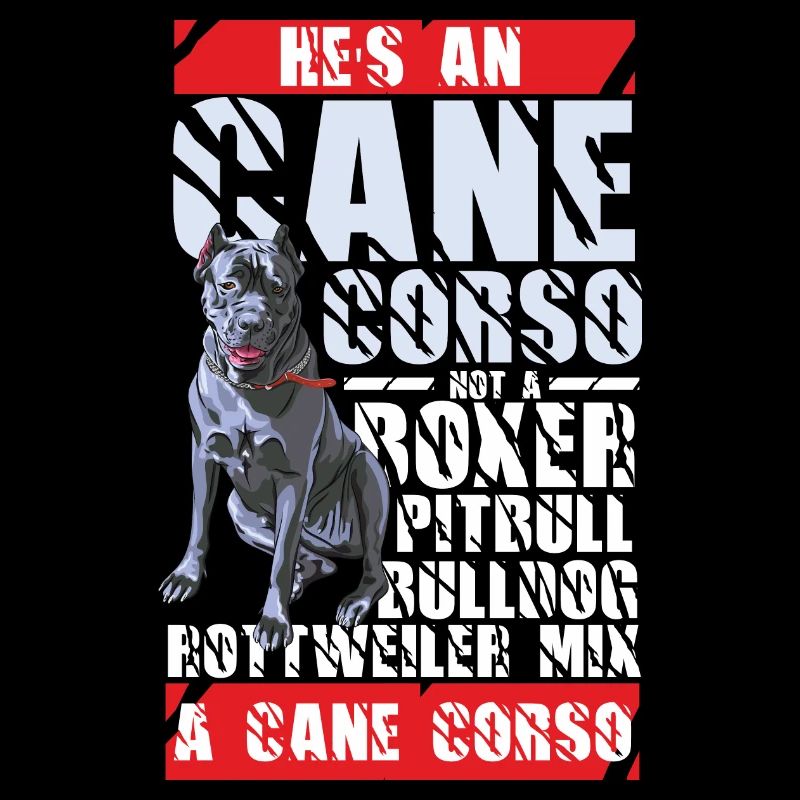 Cane Corso Confusion Dog
