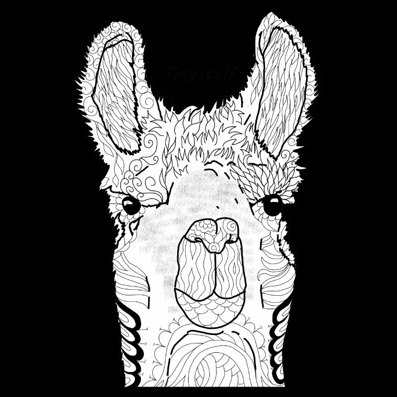 lama