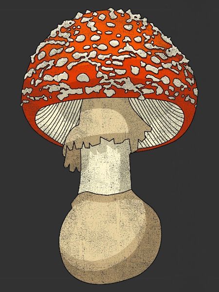 Mushroom