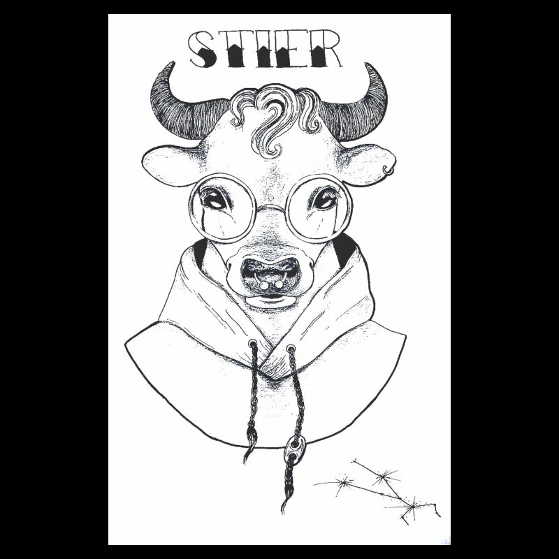 Stier