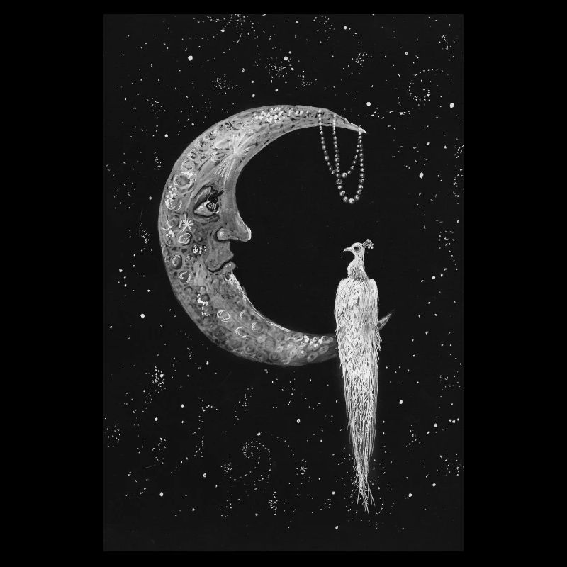 Der Mond und der Sternenpfau