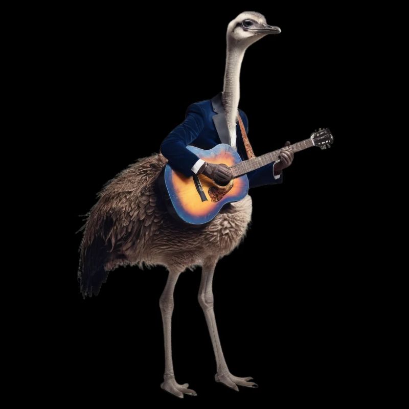 autruche guitare oiseau