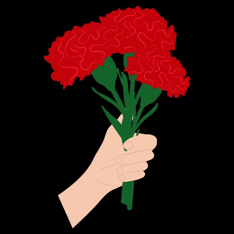 Pour vous- Fleur d’œillet rouge3