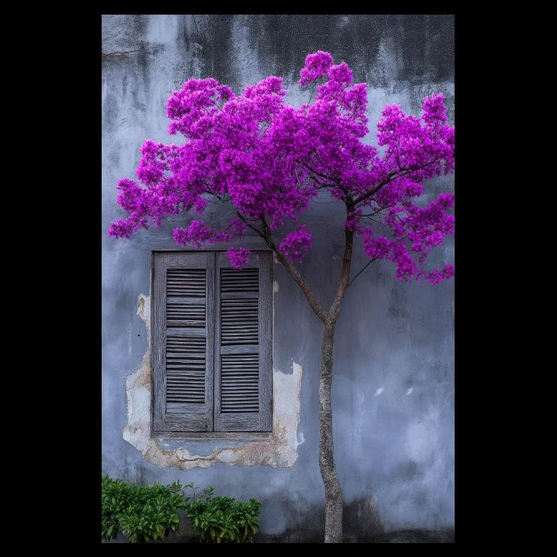Vibrant Blossom Against Rustic Wall