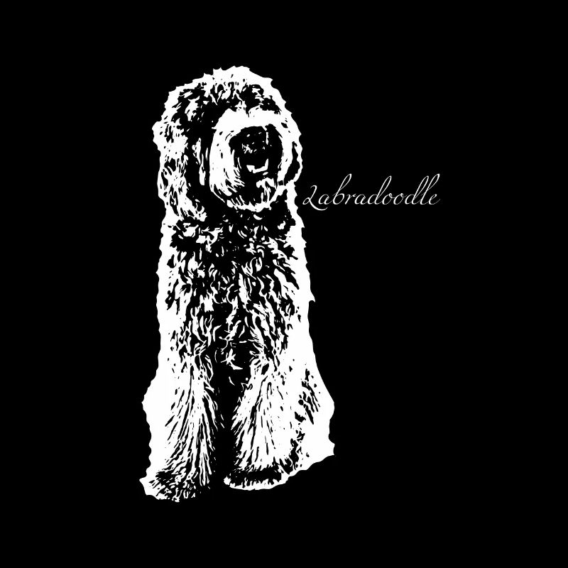 labradoodle