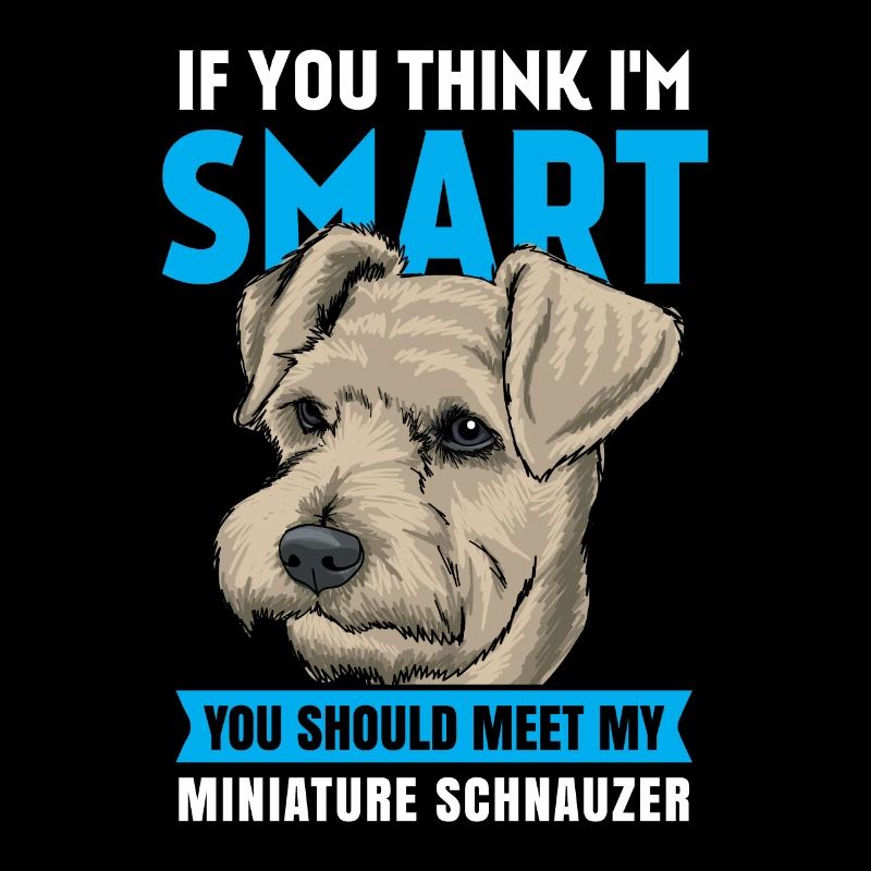 Miniature schnauzer