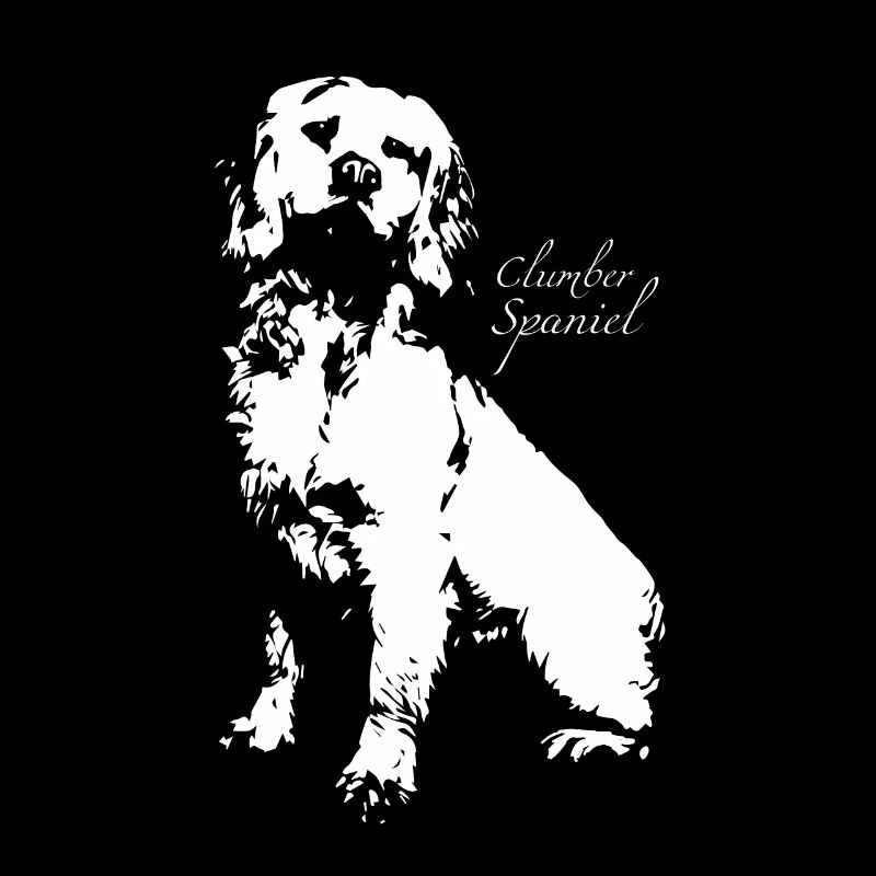 Clumber Spaniel