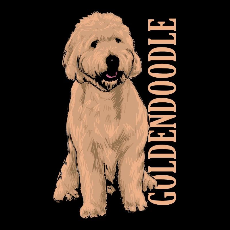 Goldendoodle