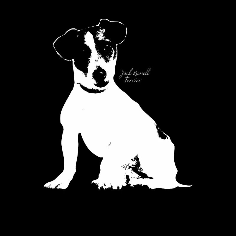 Jack Russell Terrier