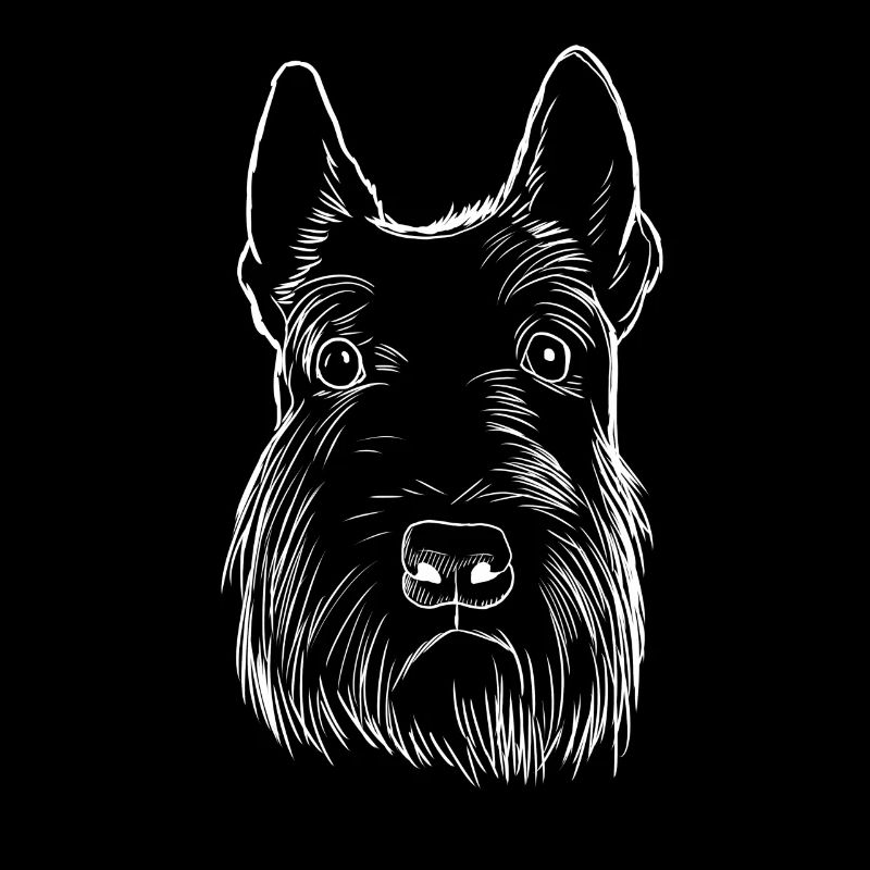 Scottish Terrier Hund