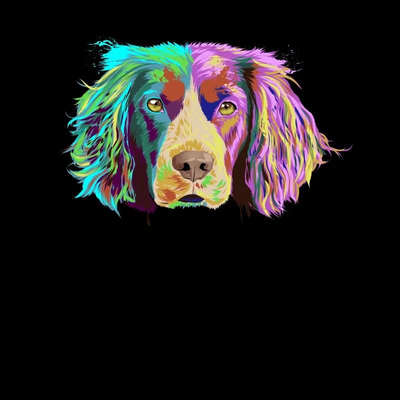 Splash Brittany Spaniel Dog