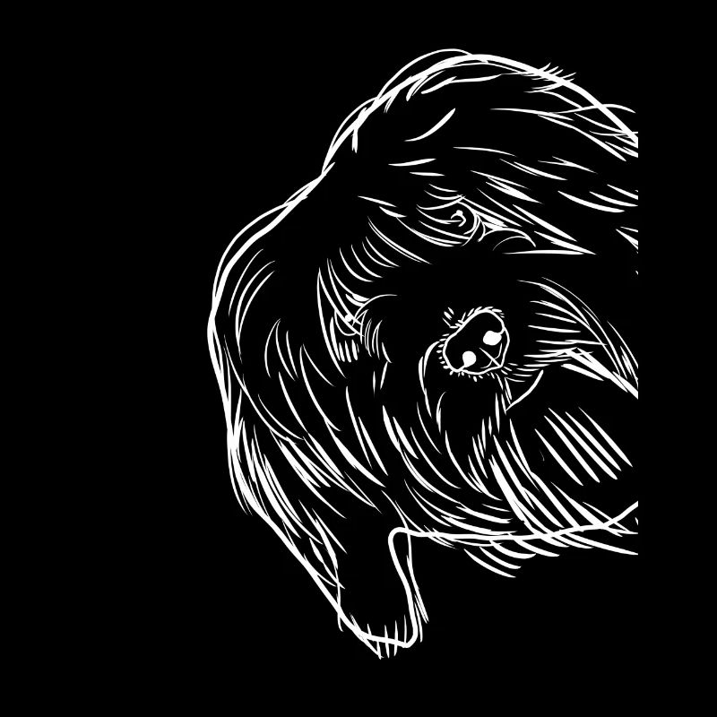 Neugieriger Tibet Terrier Hund