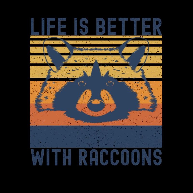 Raccoon