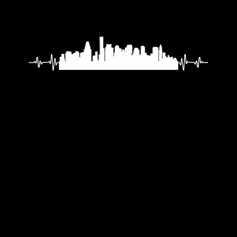 Boston Herzschlag Puls Skyline