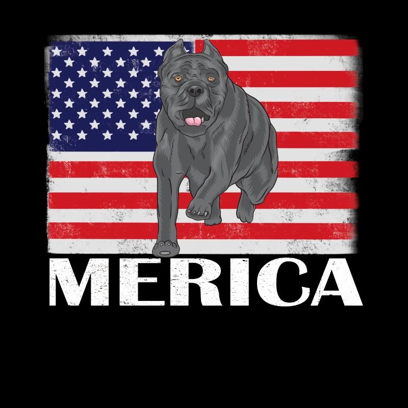 Cane Corso Merica