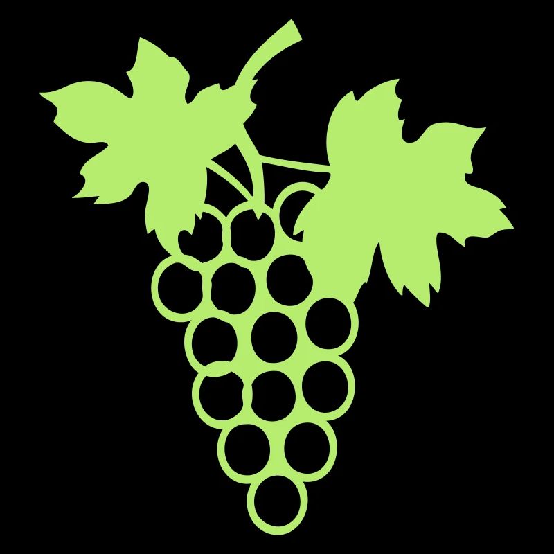 grappe raisin vigne feuille 27