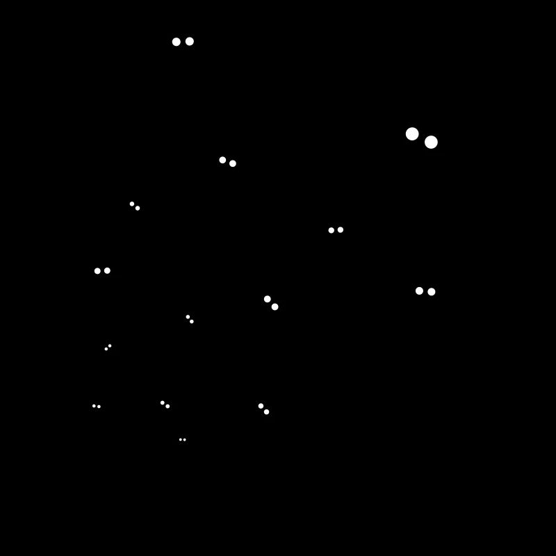 fledermäuse fledermaus