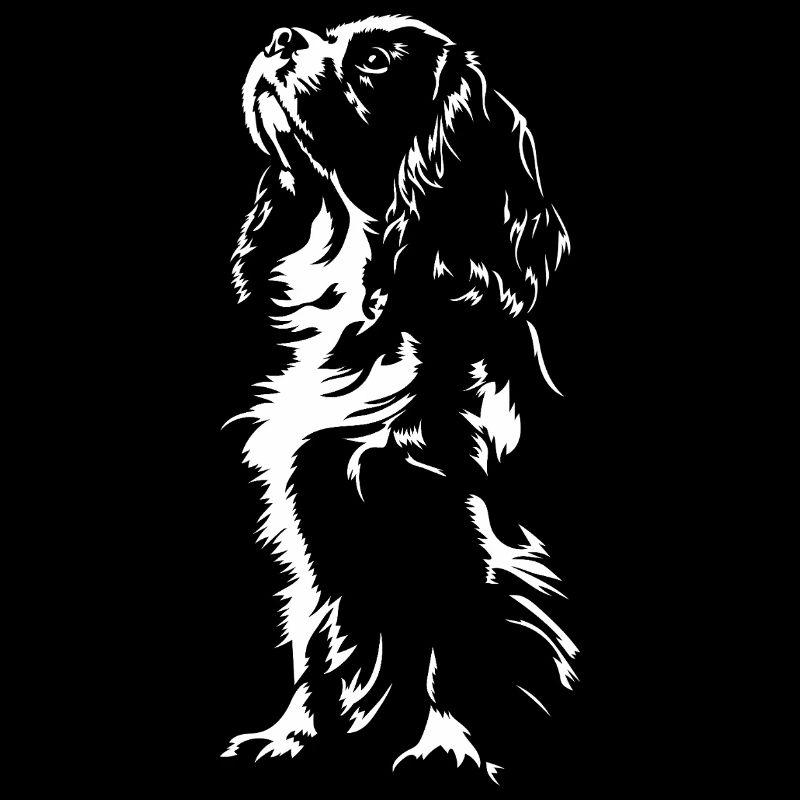 Cavalier King Charles Spaniel Chien Chien Wilsigns