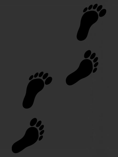 feets_f1