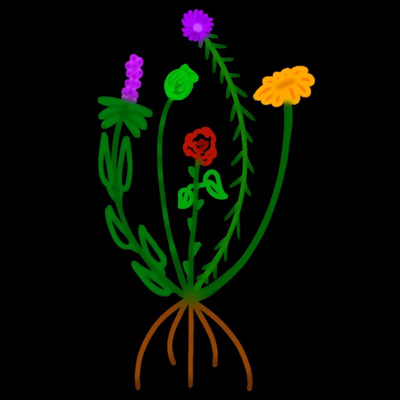 Akzente Blumen/ fine line Bunt