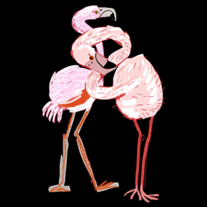 A flamingo never changes his Pink T Shirt