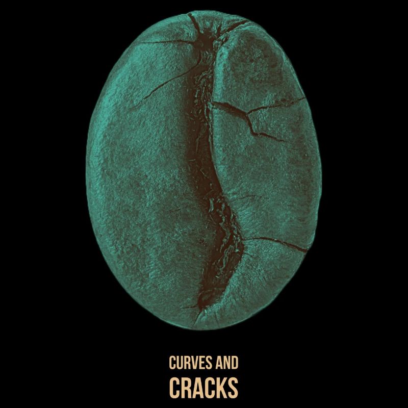 Curves & Cracks