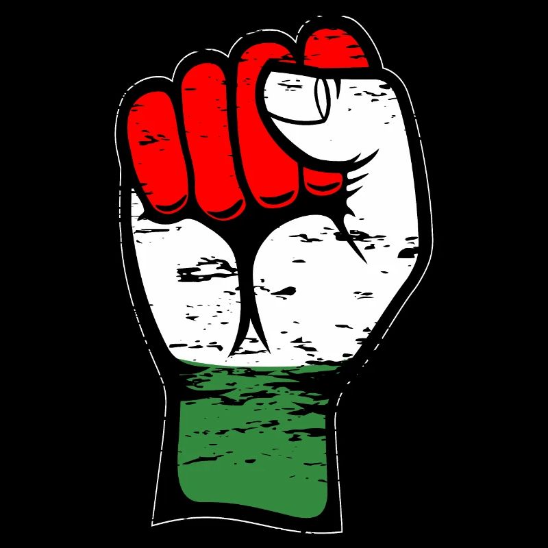 Ungarn Flagge Faust used