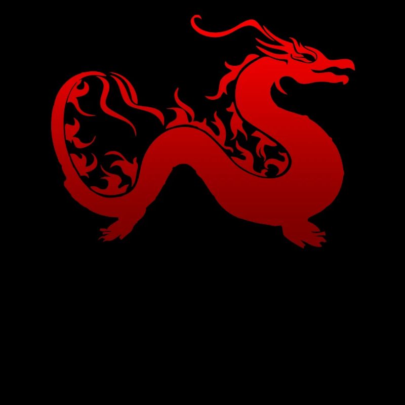 Drache Feuer Geschenk Chinesisch