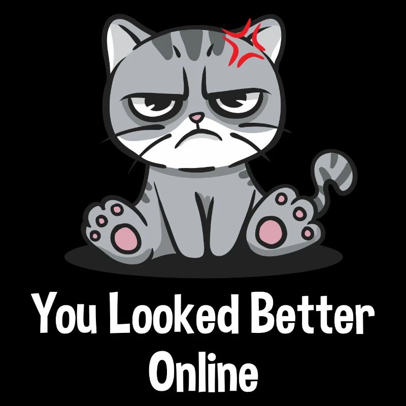 You looked better online, funnier sarcastic