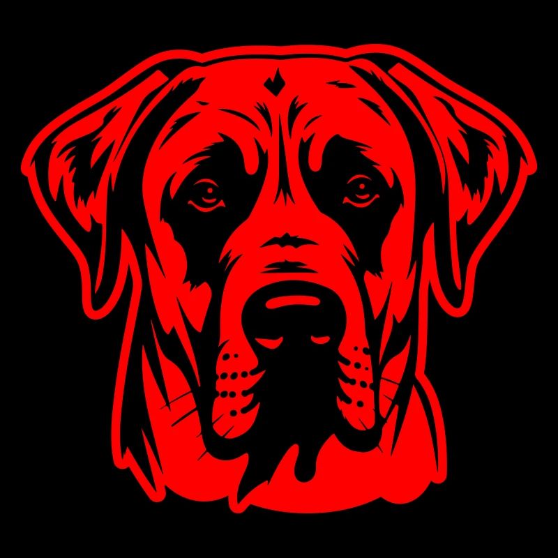 Tête de chien Kangal