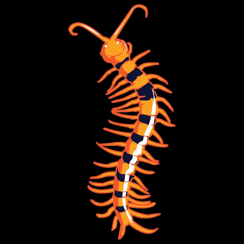 Skolopender centipede Centipede poisonous poison