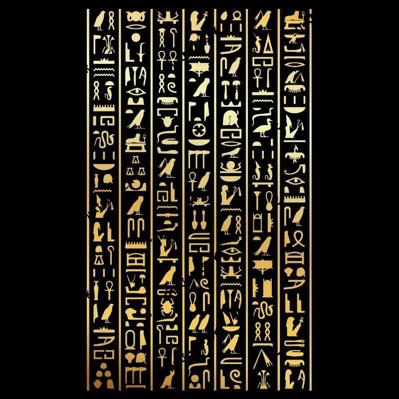 hieroglyphics Design for a old egypt enthusiast