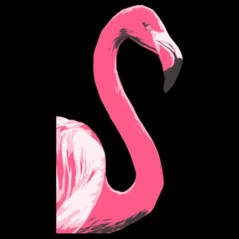 Flamingo Bird Illustration