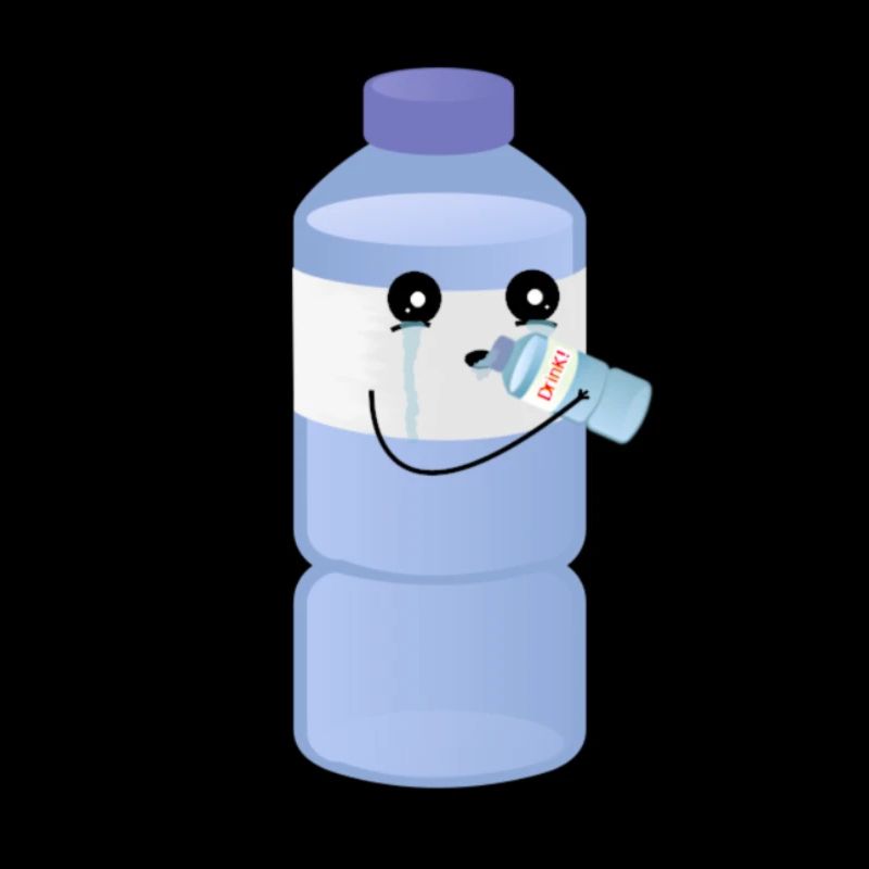 bottle drinks water