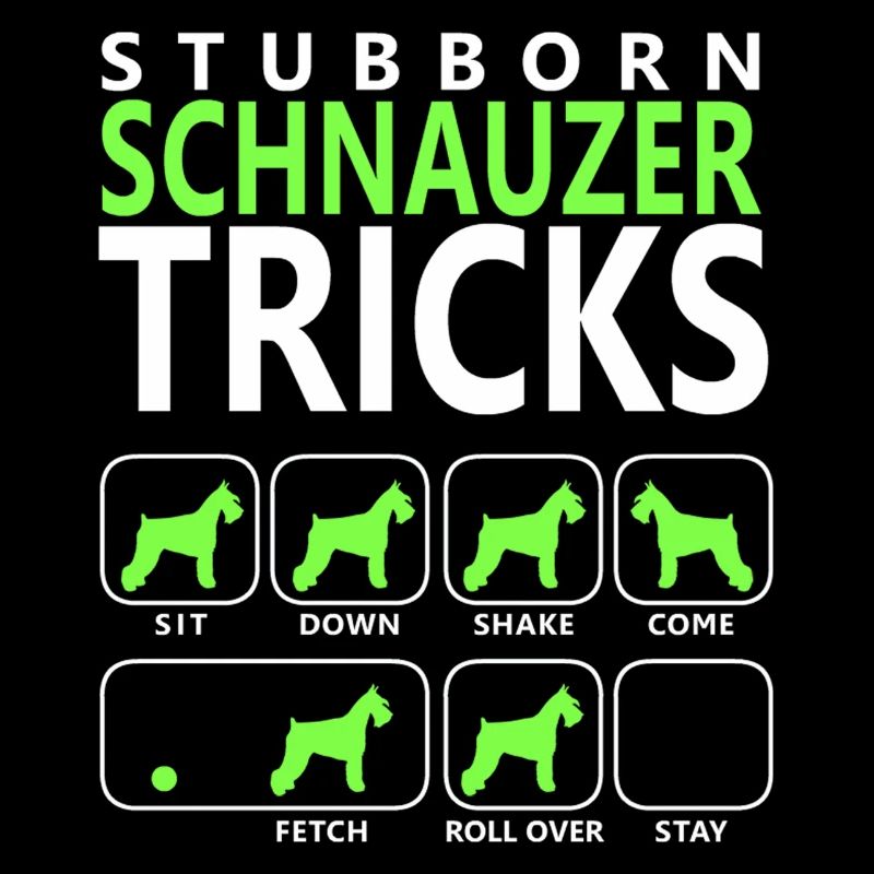 Stubborn Schnauzer Tricks