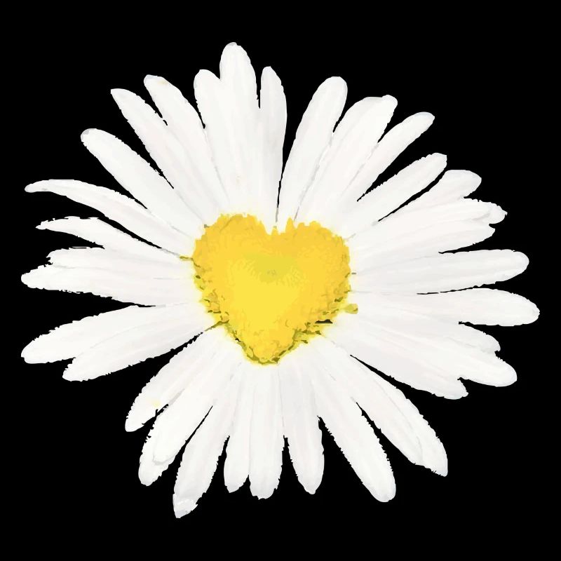 Gaensebluemchen heart