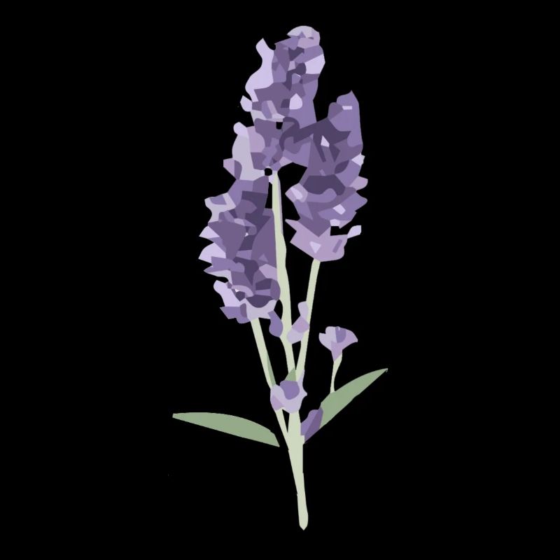lavender