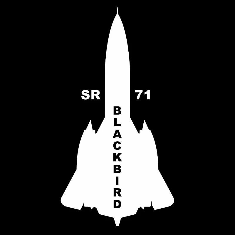 SR 71 Blackbird weiß