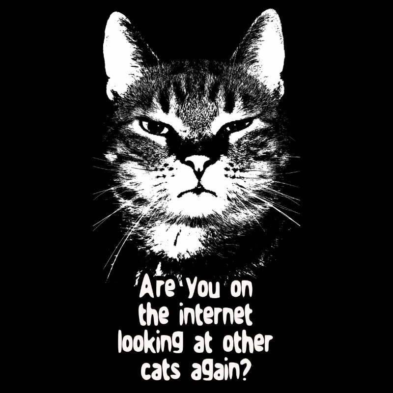 Internet-Katze