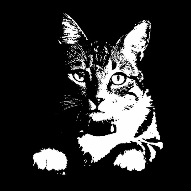 Chat