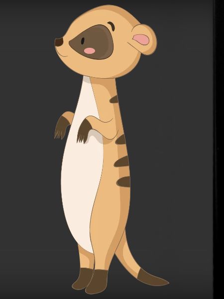 Mangoute suricate