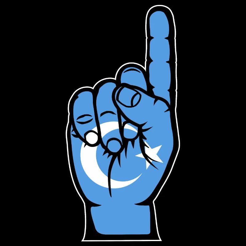 Uiguren Flagge Nummer 1