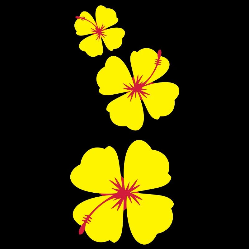 simples de trois fleurs d'hibiscus tropical