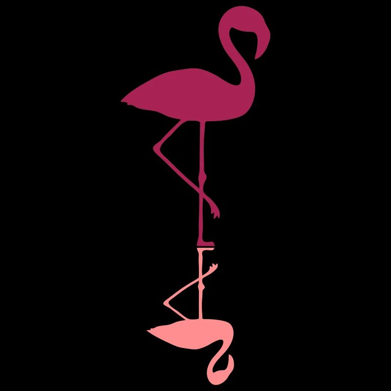 flamingo mirroring water mirrored reflection r