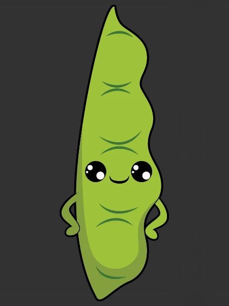 Haricots verts
