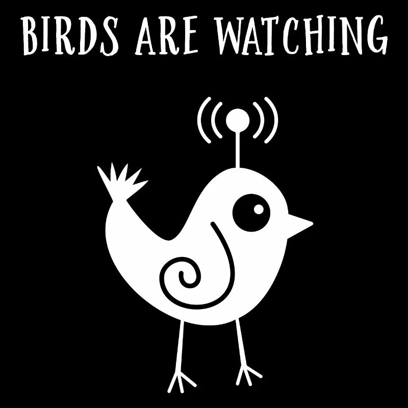 Les oiseaux observent