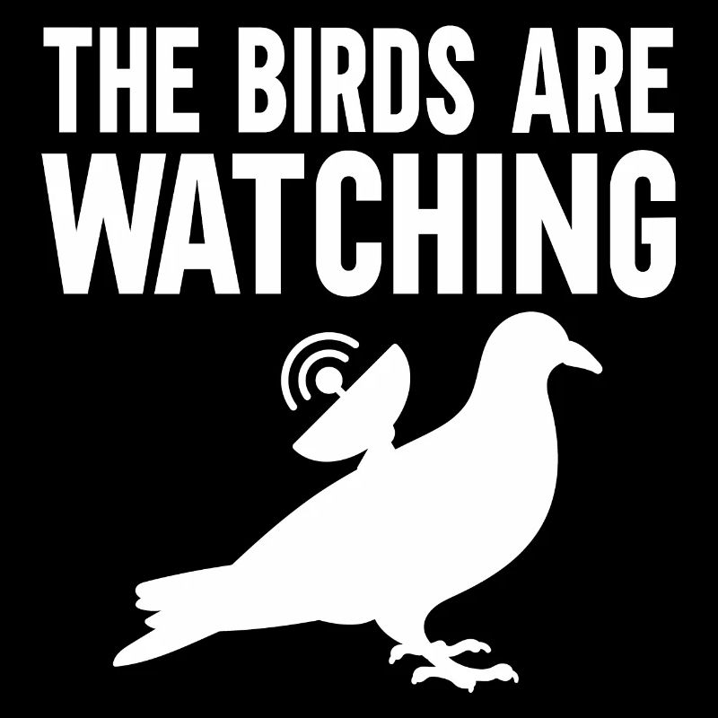 Les oiseaux observent