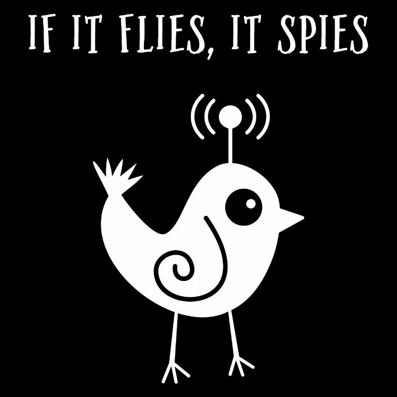 When it flies, it spies