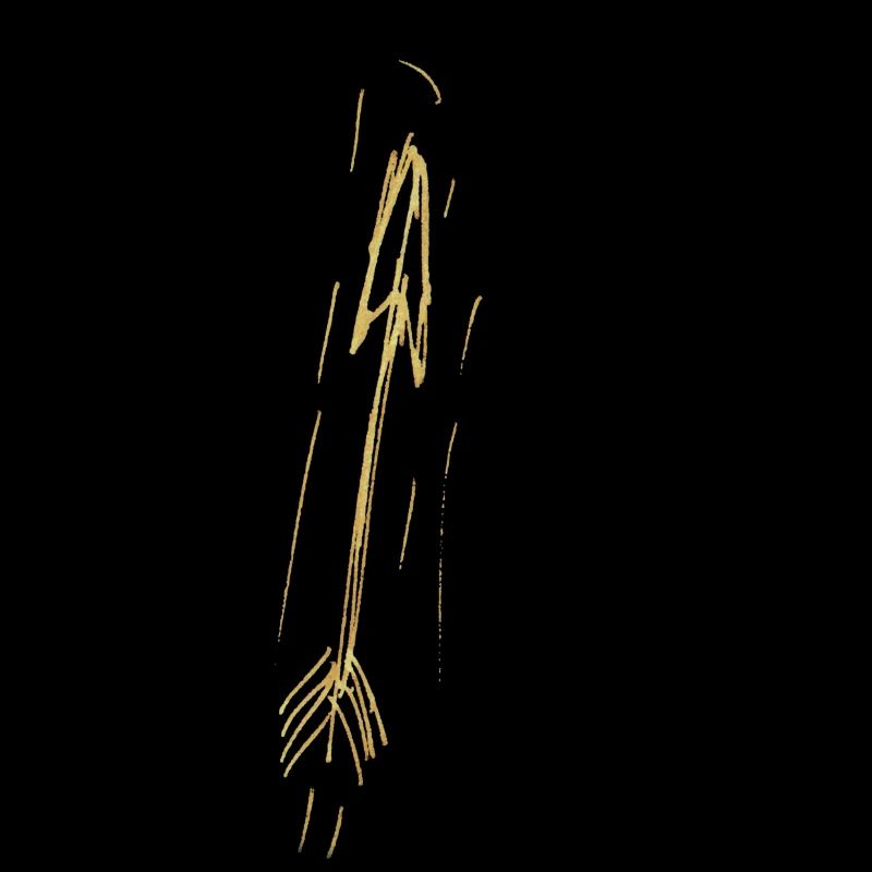 arrow for black